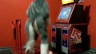 A Dude In A Fursuit. Dancing. For Charity.